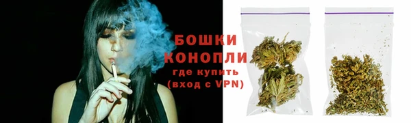 гашик Медногорск