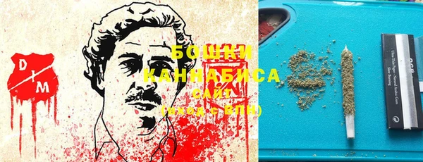 гашик Медногорск
