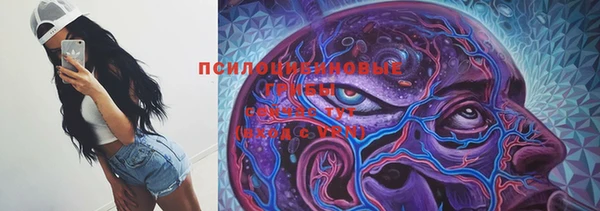 гашик Медногорск