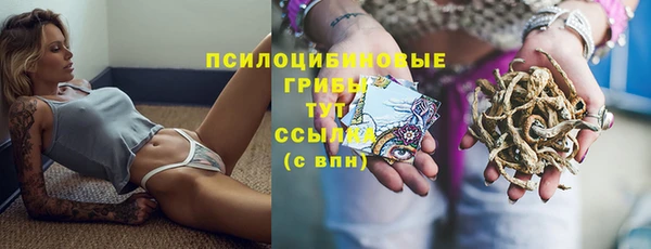 гашик Медногорск