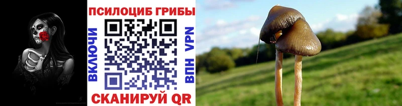 Галлюциногенные грибы Cubensis  OMG зеркало  Старая Купавна 