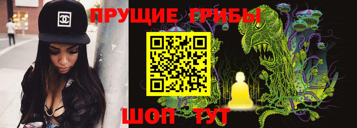 Старая Купавна  Галлюциногенные грибы Psilocybine cubensis  Псилоцибиновые грибы Psilocybe  Вход с VPN 